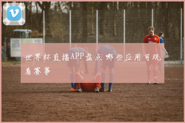 世界杯直播APP盘点 哪些应用可观看赛事
