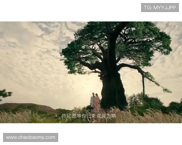 4小时看完《XXX》:这个结局我给100分! 4小时看完《XXX》:这个结局我给100分!