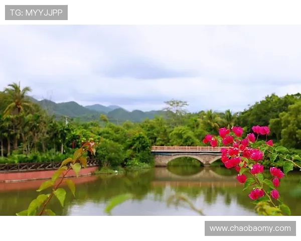 超霸花神传奇与爱恨交织的命运纠葛在美丽乡村的跌宕起伏之中