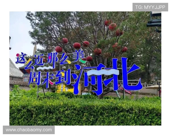 情归新泽西：一场跨越山海的浪漫邂逅