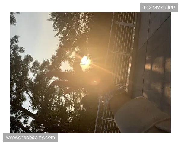 杏树纱奈：不止于画，更在于那份触动心灵的温暖